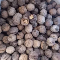 حراج گردوی محلی