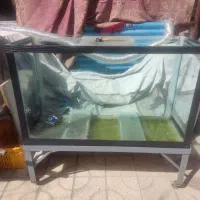 آکواریوم بزرگ باپایه