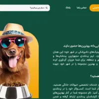 فرصت طلایی طراحی سایت حرفه‌ای - مدت محدود|خدمات رایانه‌ای و موبایل|تبریز, |دیوار