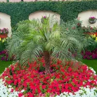 خدمات باغ و باغبانی ،شیراز باغبان|خدمات باغبانی و درختکاری|شیراز, دکتر حسابی|دیوار