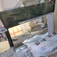 تشک بالشت پتو|رختخواب، بالش، پتو|کوه چنار, |دیوار