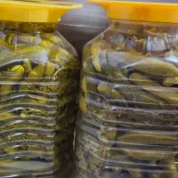 خیارشور خانگی|خوردنی و آشامیدنی|اصفهان, عطار نیشابوری|دیوار