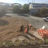 کارگر ساده|استخدام صنعتی، فنی، مهندسی|سنندج, |دیوار