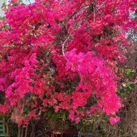 پذیرش کمک مربی(اجرایی) خانم