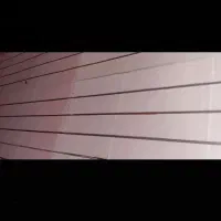 ام دی اف رگالی