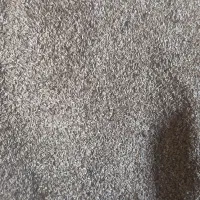 تخمه ابرقویی سفید