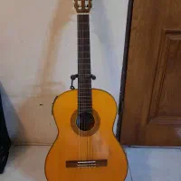 گیتار استیو