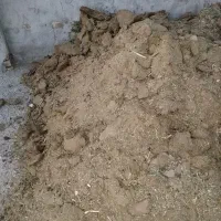 کود گوسفندی