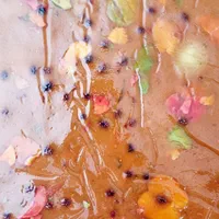 محلی با تکه میوه