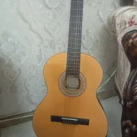 گیتار فروش نو