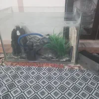 اکواریوم باهمه وسایلش فقط یه تومن