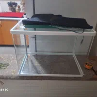 اکواریوم شرکتی