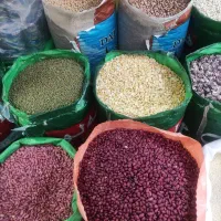 مایتجاج ضرروی به خانواده بی بضاعت