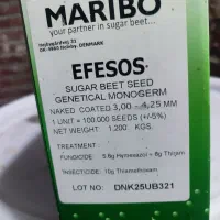 بذر چغندر قند