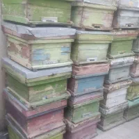 زنبور|حیوانات مزرعه|اصفهان, باغ نگاره|دیوار