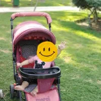 کالسکه کریر و تاب کودک