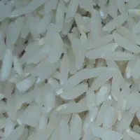فروش برنج ممتاز مازندران|خوردنی و آشامیدنی|تهران, چیتگر شمالی|دیوار