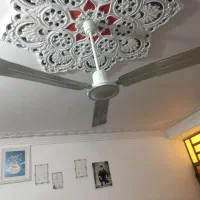 پنکه صقفی