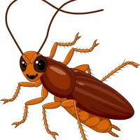 سم پاشی موش کنه سوسک ساس دریک مرحله سم پاشی