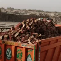 فرو ش وحمل آجر فشاری وماسه