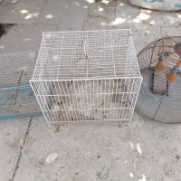 قفس  پرنده