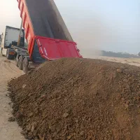کود گاوی