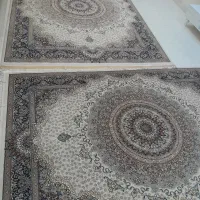 دوعدد قالی باتراکم ۷۰۰ شانه