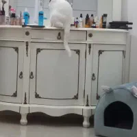 فروش آیینه و کنسول