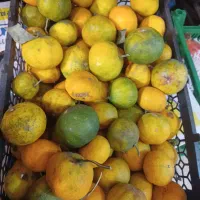 نارنگی شیرین