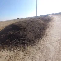 کود گاوی و گوسفندی|خدمات باغبانی و درختکاری|گمیشان, |دیوار