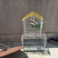 فروش ۲عدد قفس عروس برتمامی لوازم هم تزعینی هم آبخه