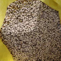 لوبیا چشم بلبلی