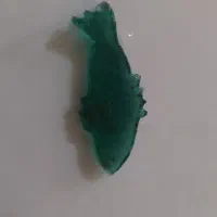 مهره ماهی|کلکسیون اشیاء عتیقه|ایلام, |دیوار