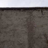 گل و گیاه و کارهای ساختمانی انجام با قیمت مناسب|گل و گیاه طبیعی|صابری, |دیوار