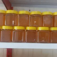 عسل باکیفتیت و ارزان|عمده‌فروشی|قم, شهرک مهدیه|دیوار