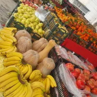 میوه سرای حسن زهی