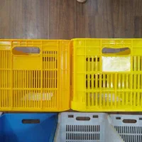 سبد ۲۰ کیلویی کشمش و زیتون