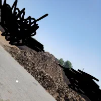 کود‌گاوی