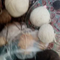 نخ برای قالی|لوازم خیاطی و بافتنی|شهرضا, |دیوار