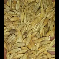 جو دادم تمیز