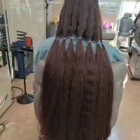 مو فروش مو خریدار مو