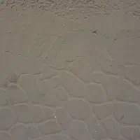 خط ثابت رند منطقه ۱۹