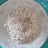 برنج مازندران.طارم