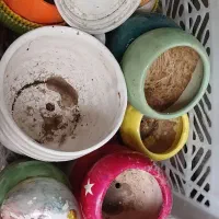 گلدان های بزرگ وکوچک