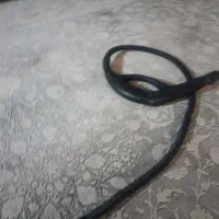 بخار شور