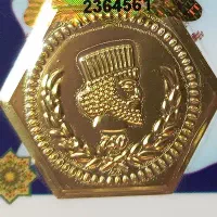 گمشده (عکس از اینترنت است)