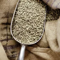 آموزش رست و برشته کاری قهوه