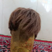 کلاه گیس