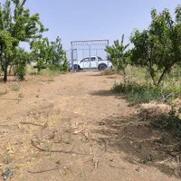 3600 متر باغ فنس کشی شده