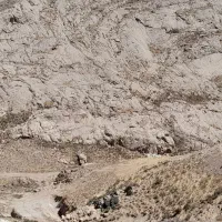 نمونه گیری معدن|خدمات پیشه و مهارت|تربتحیدریه, پائین ولایت|دیوار